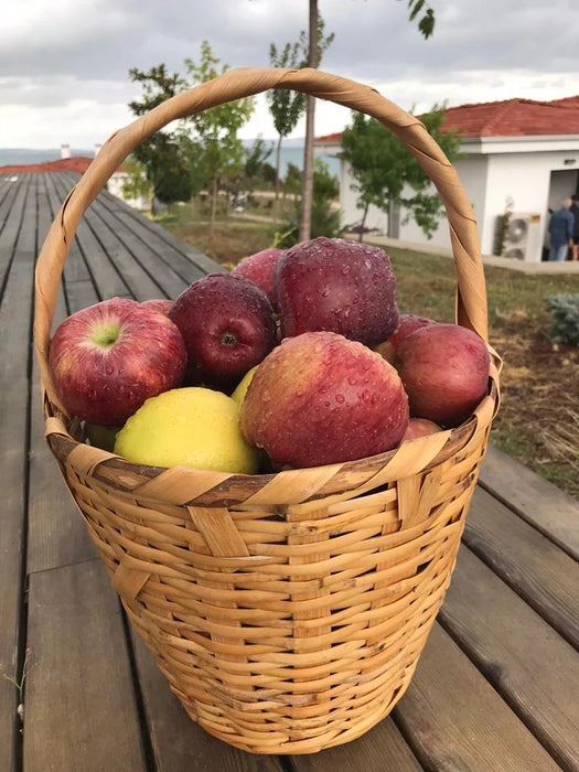 Golden Delicious - Sarı Elma